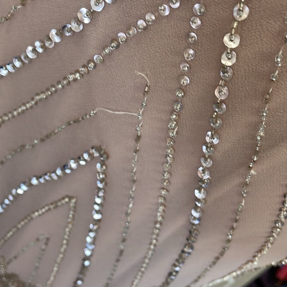 Xscape Blush Beaded Mesh Maxi Dress - Picture 8 of 13